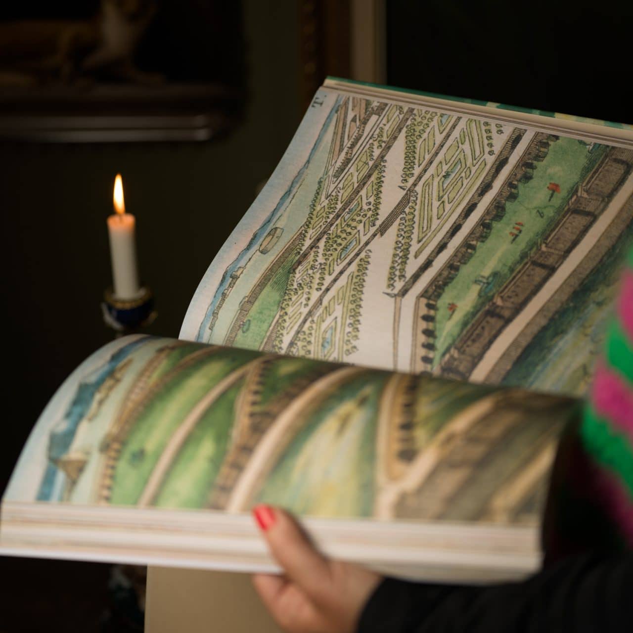 John Derian Picture Book - Bild 4