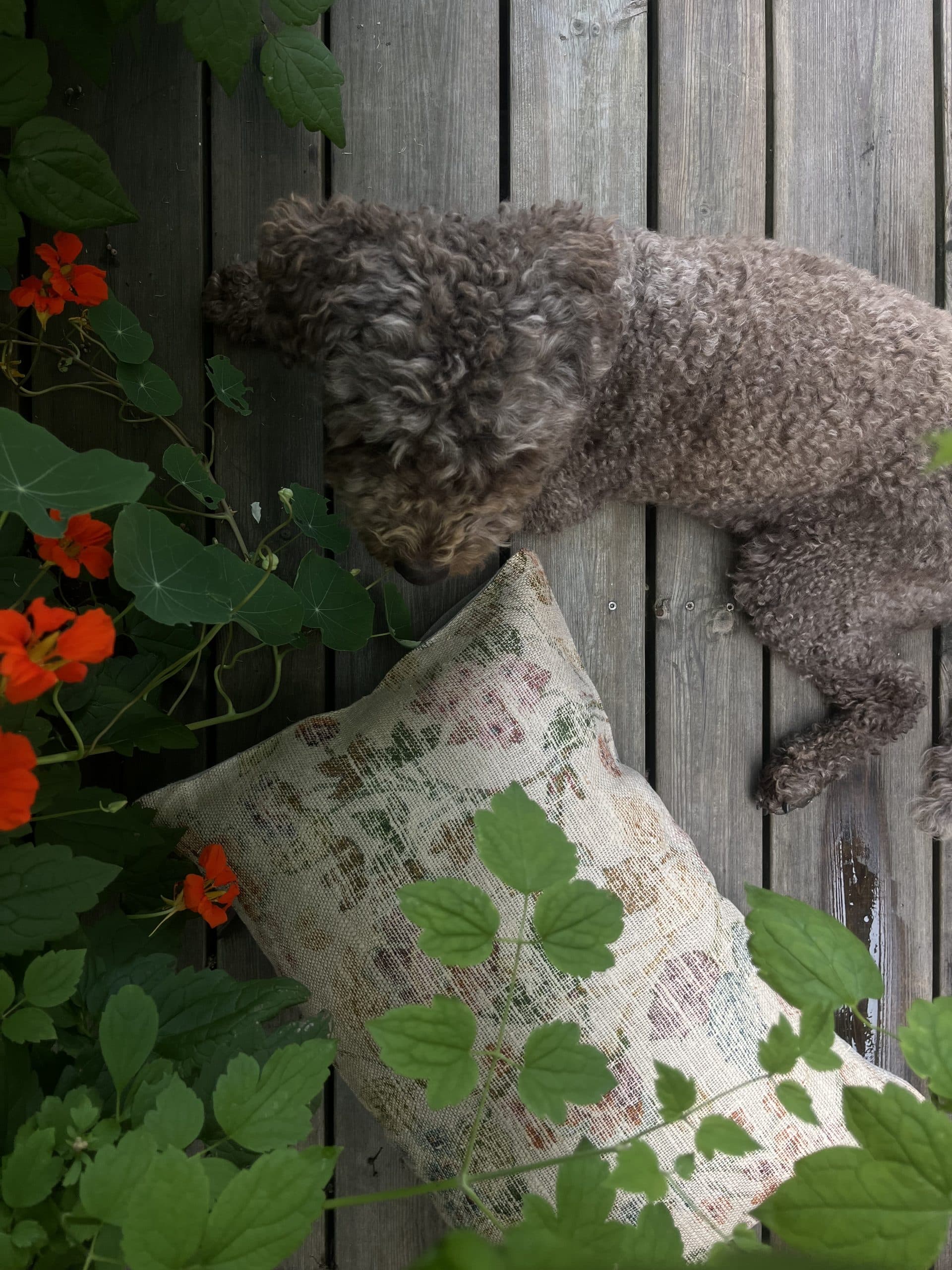 Vintage kudde nr.4 - Bild 2