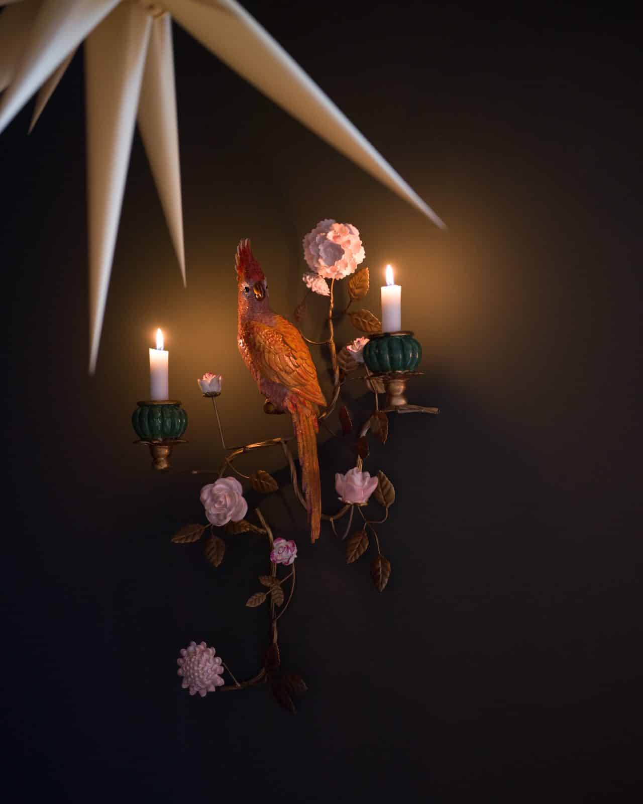 Väggljusstake "Parrot"