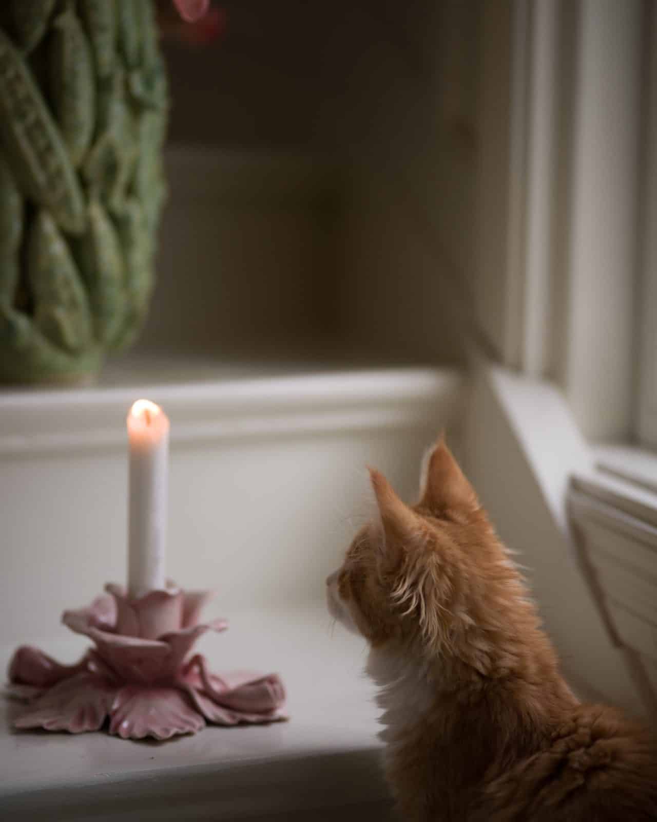 Ljusstake "Rose" rosa